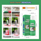 ⛲🪥 Effizientes Abbeizmittel（Geschenk Kostenlose Pinsel）💥💥Befristetes Angebot: 50% Rabatt auf Bestellungen