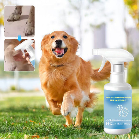 Geruchsentferner-Spray für Haustiere🐕🌟💥💥Befristetes Angebot: 50% Rabatt auf Bestellungen