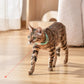 🎁Hot Sale🐱Aufladbares, tragbares elektronisches Halsband für Katzen