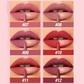 🌸💐Wasserfestes Matte Lip Liner Set in 12 Farben